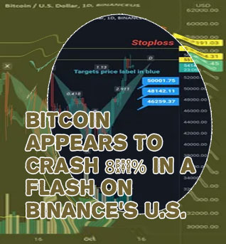 Bitcoin crashed binanceus to bug