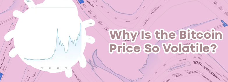 Bitcoin live chart price