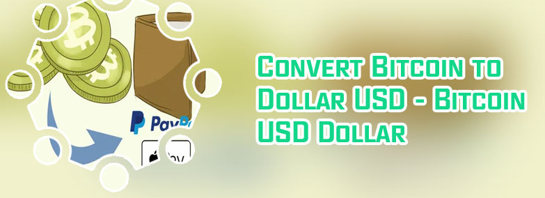 Bitcoin to dollar converter
