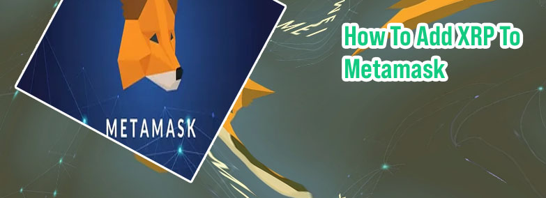 Crypto com to metamask