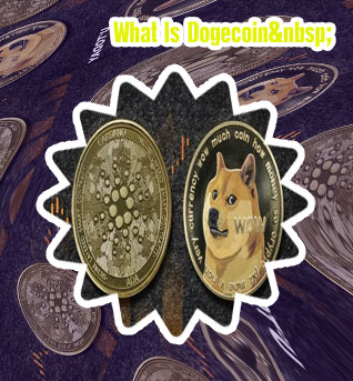 How much is 1 share of dogecoin
