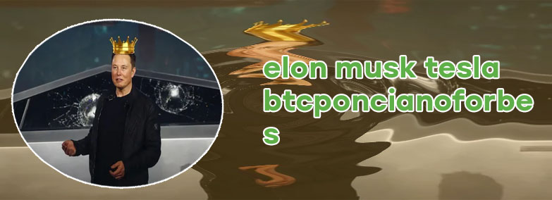 Microstrategy elon musk tesla btcponcianoforbes