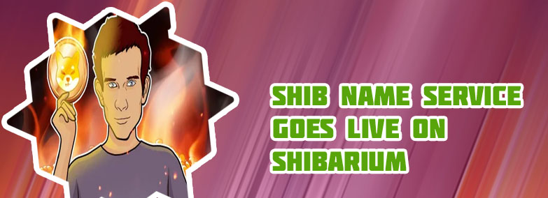 Shib coin crypto com