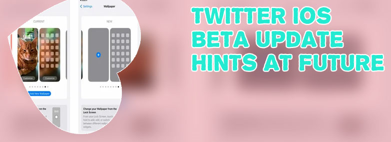Twitter ios beta groundwork for bitcoin