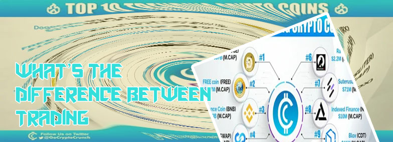 What are the top 10 crypto coins